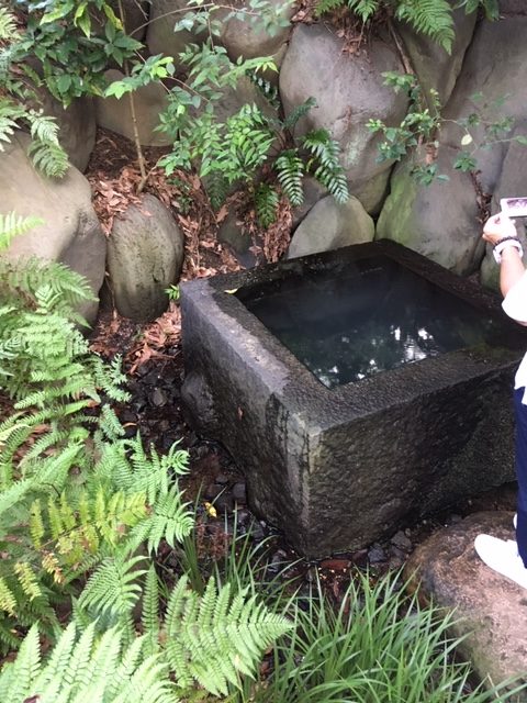 『皇居』は最強のパワ−スポット!ぜひ訪れたい二の丸庭園の”井戸”！