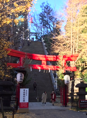 初詣にお参りしたい『愛宕神社』”出世の階段”のすごい御利益！